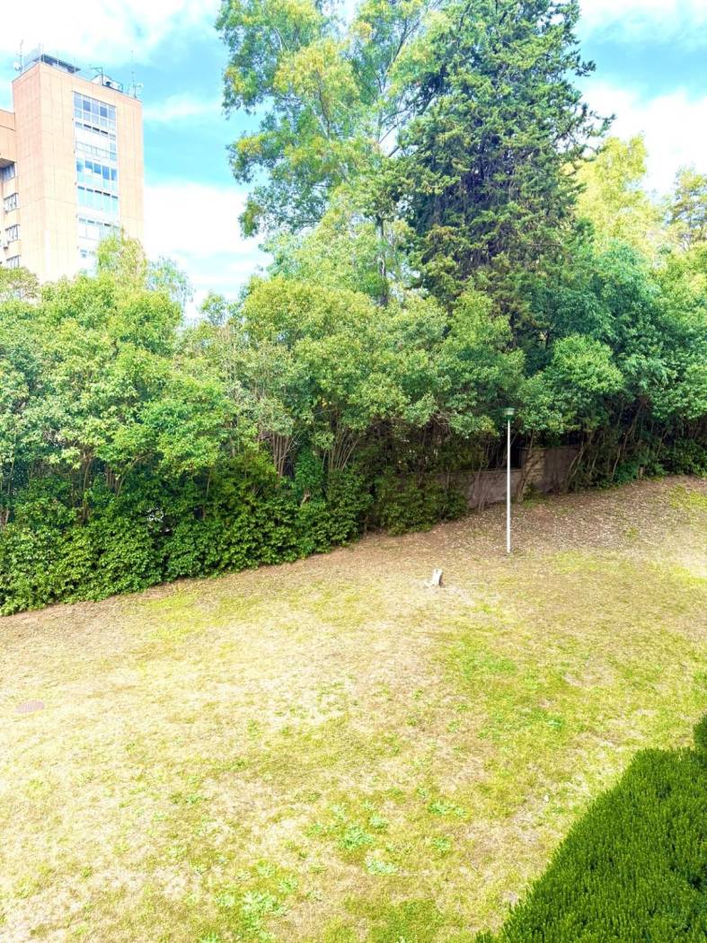Giardino