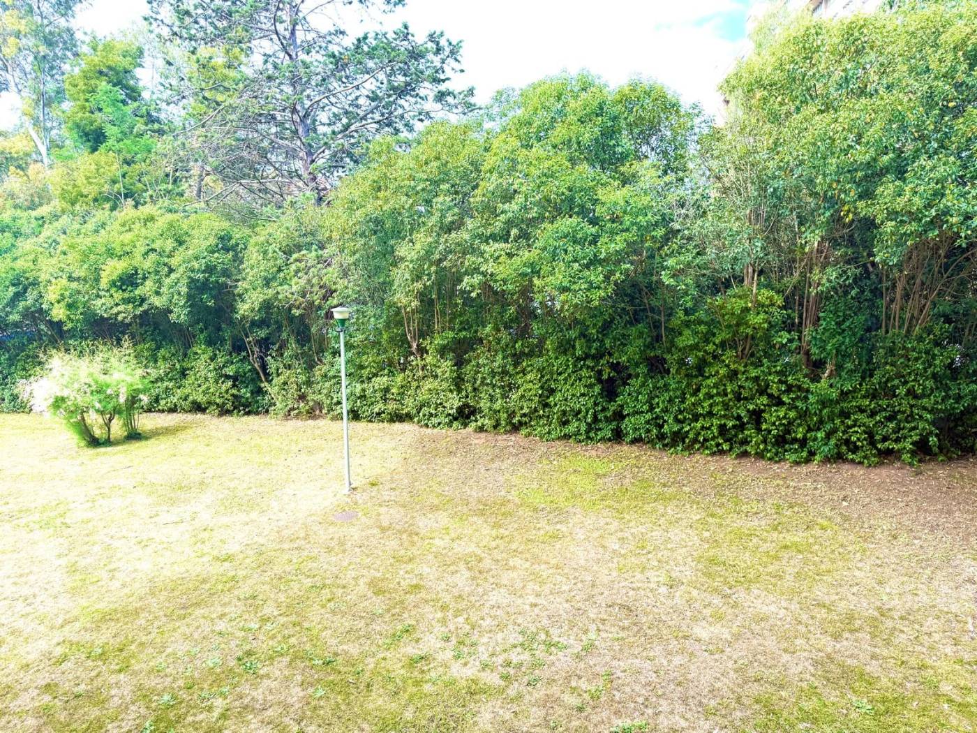 Terreno