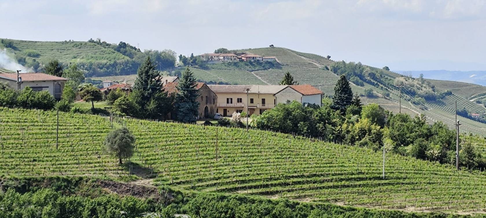 Terreno