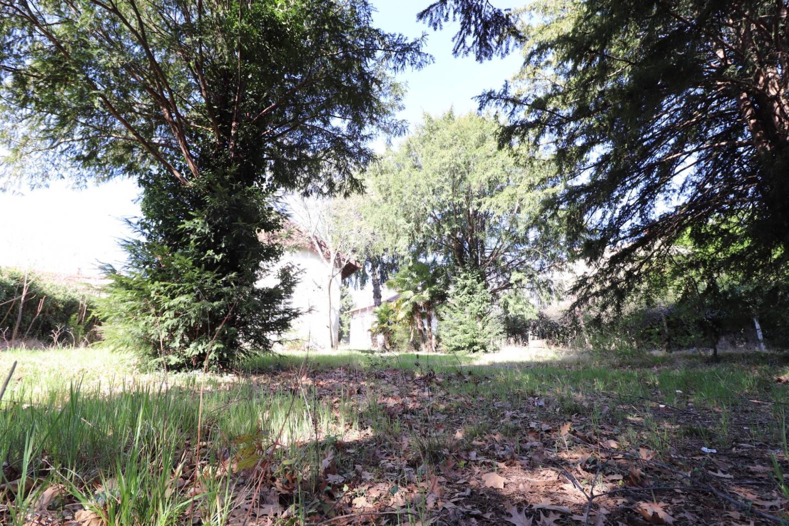 Terreno