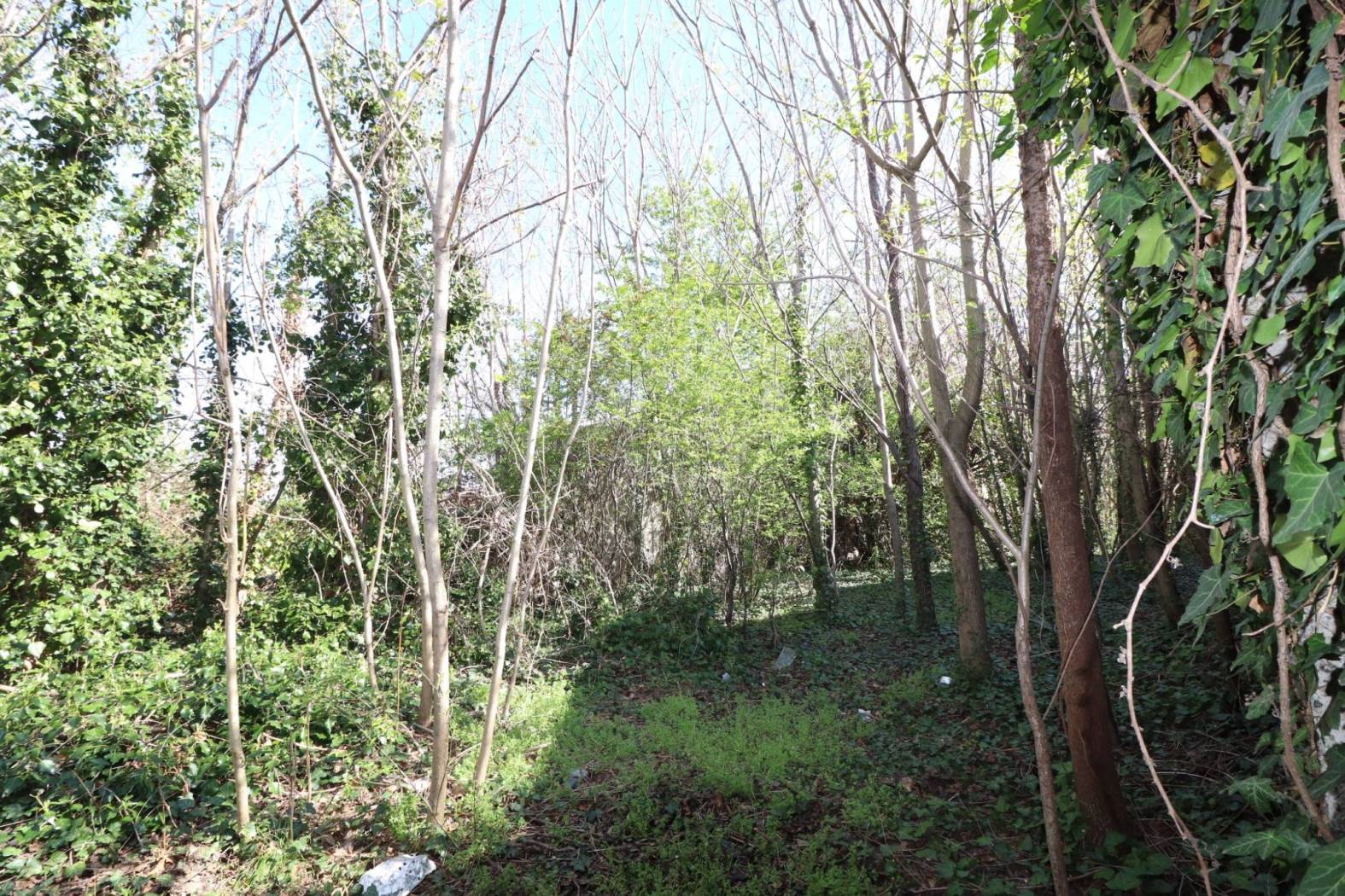 Terreno