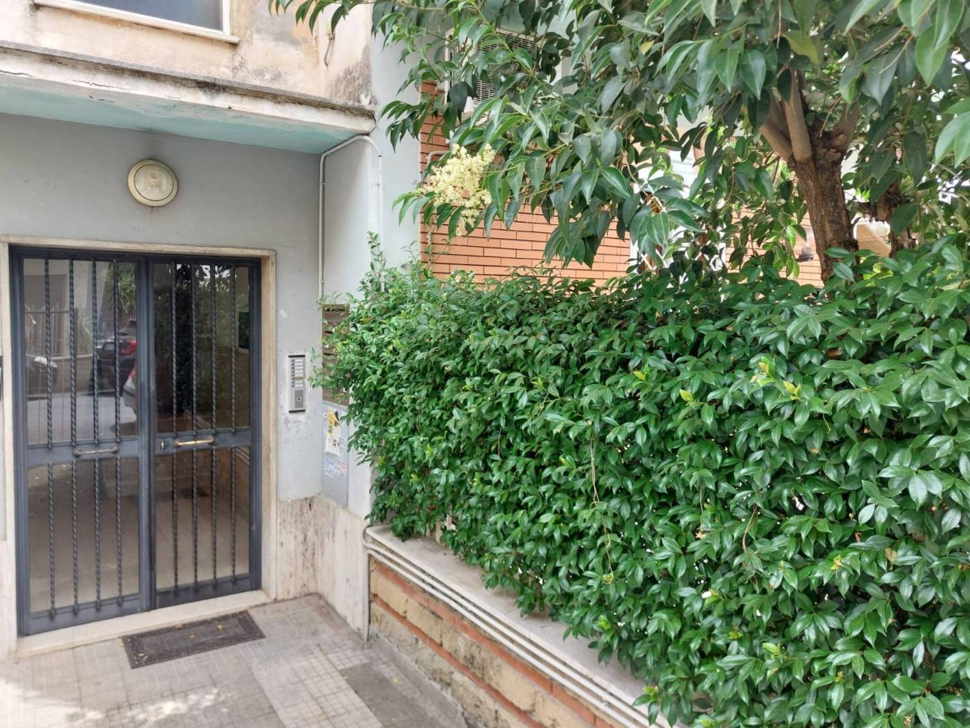 Ingresso