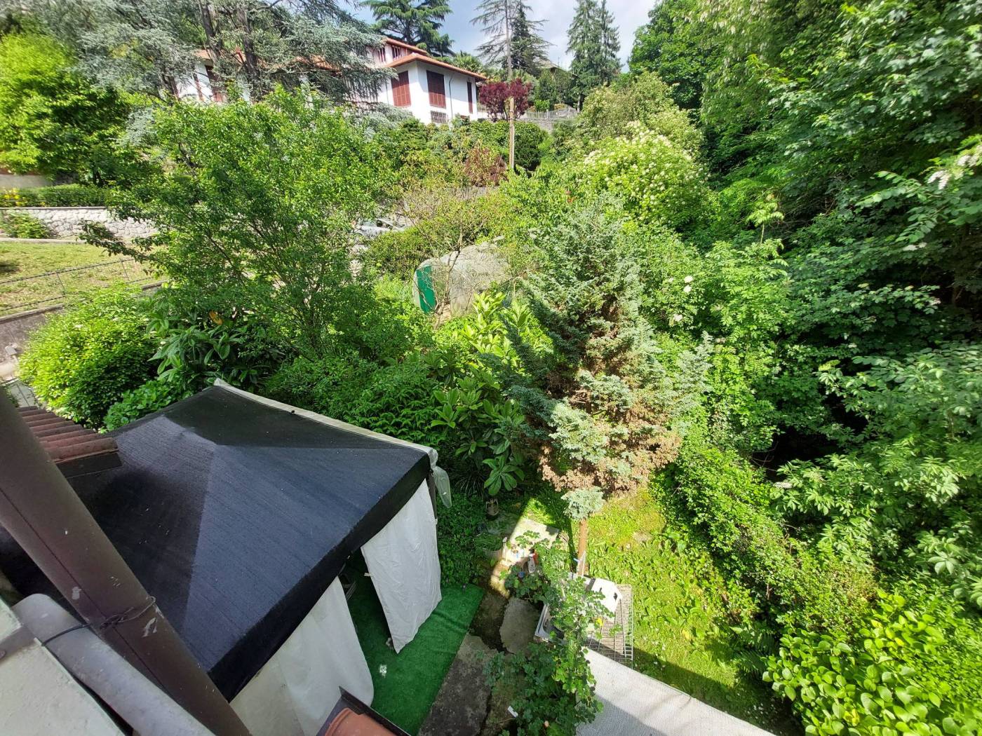 Vista