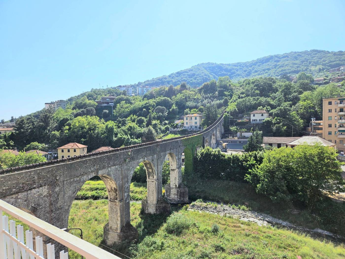 Vista