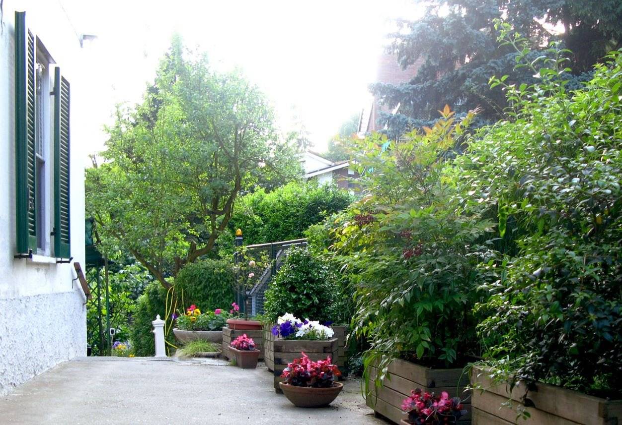 Giardino