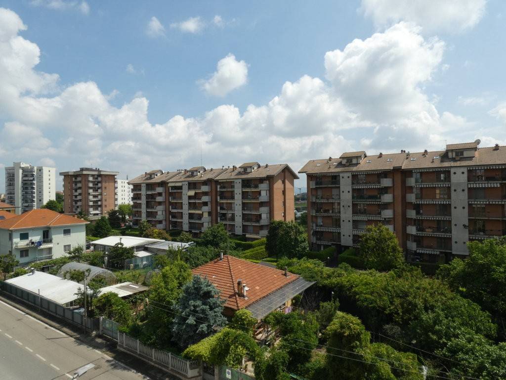 Vista