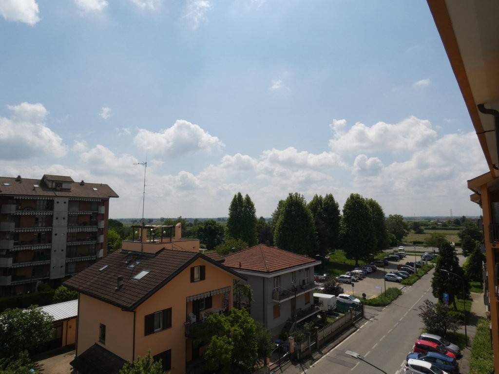 Vista