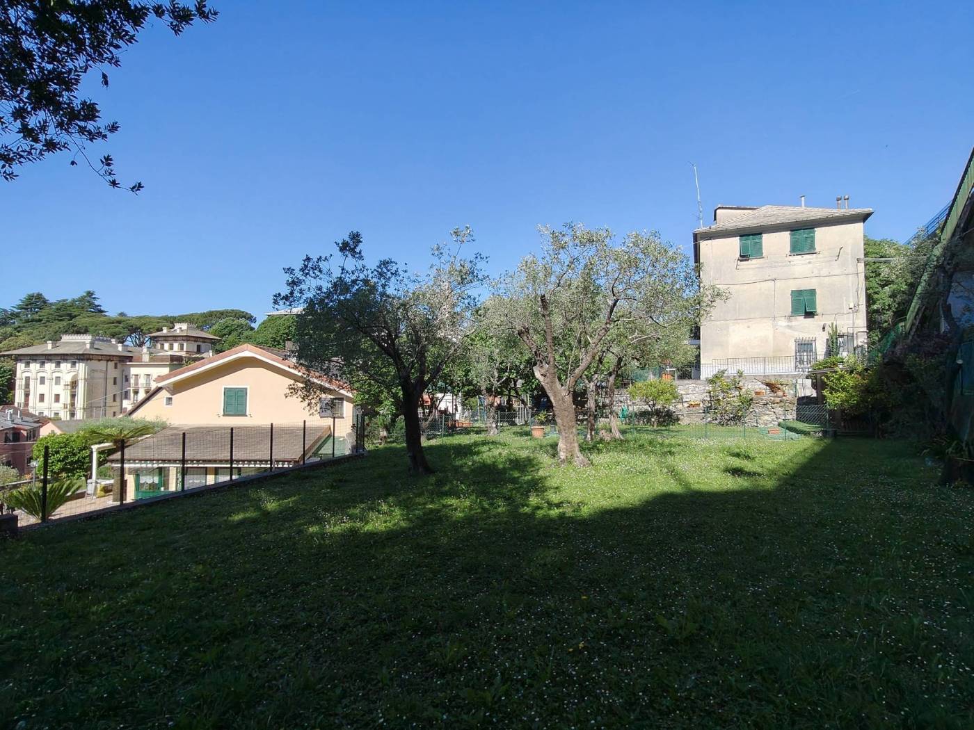 Terreno
