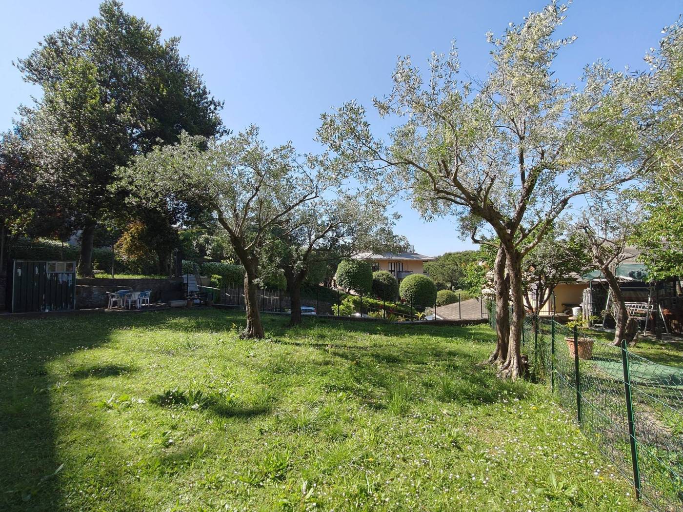 Terreno