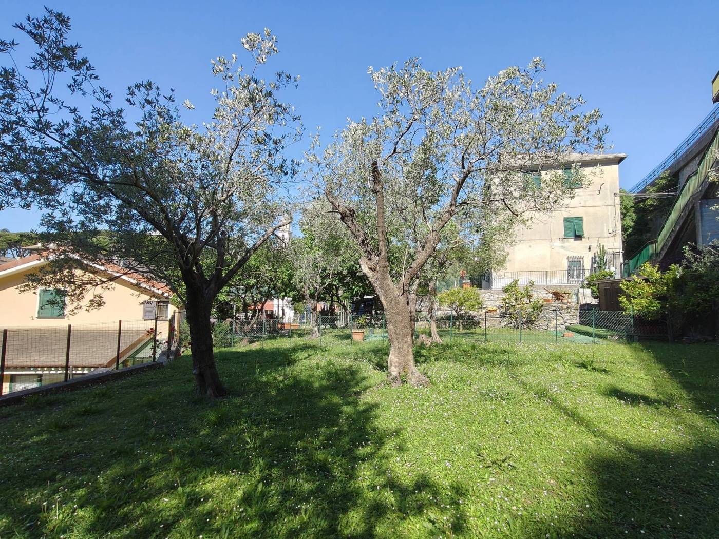 Giardino