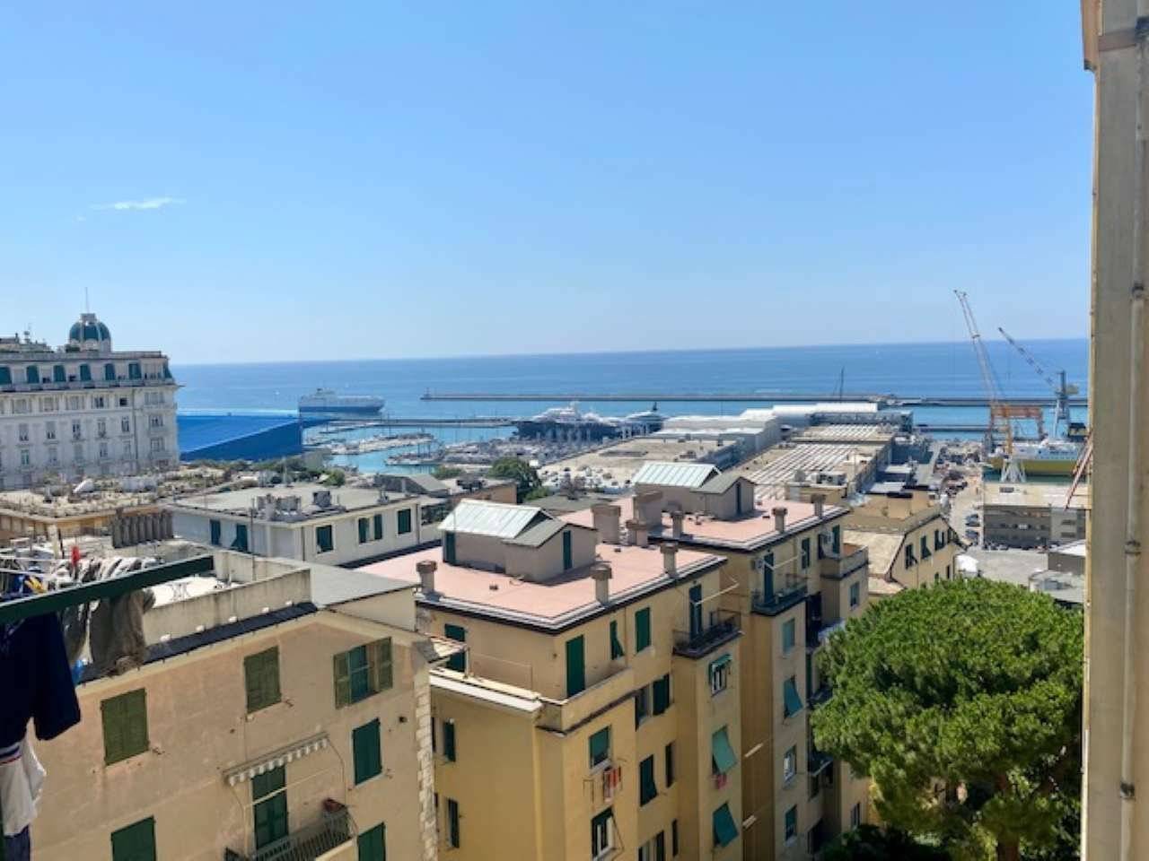 Vista