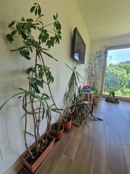 Interno palazzo