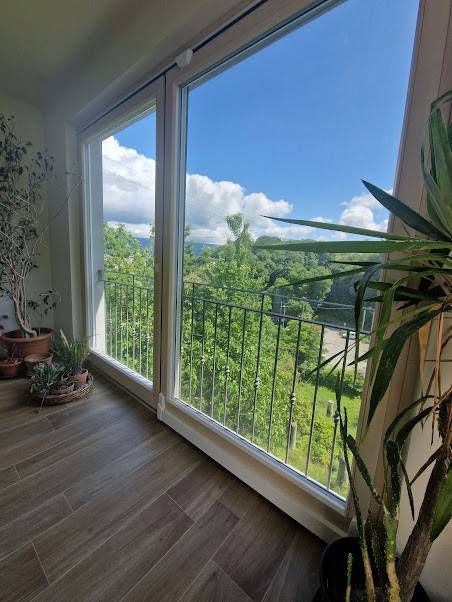 Vista