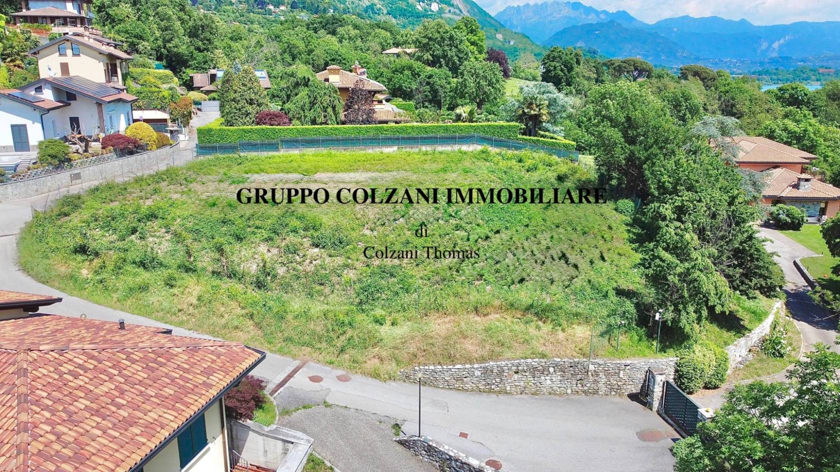 Vista