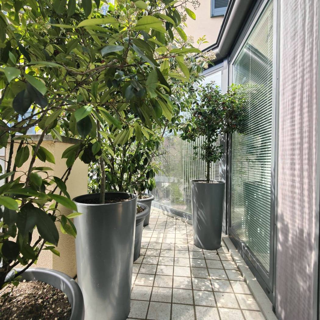 Cortile interno