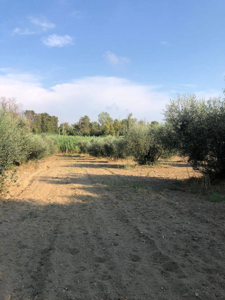 Terreno Terreno