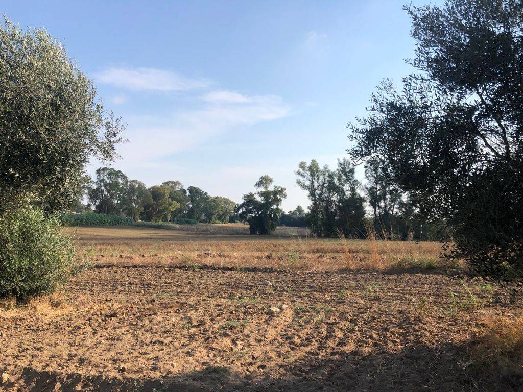 Terreno Terreno