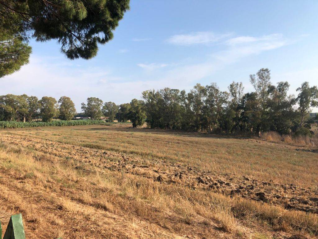 Terreno Terreno