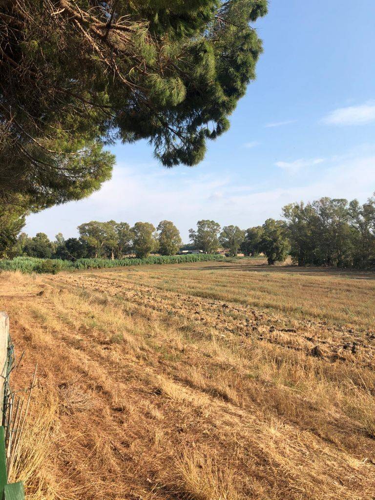 Terreno Terreno