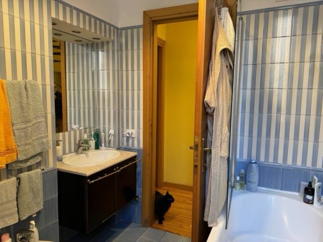 Bagno Bagno