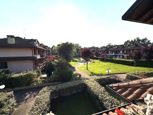 Vista
