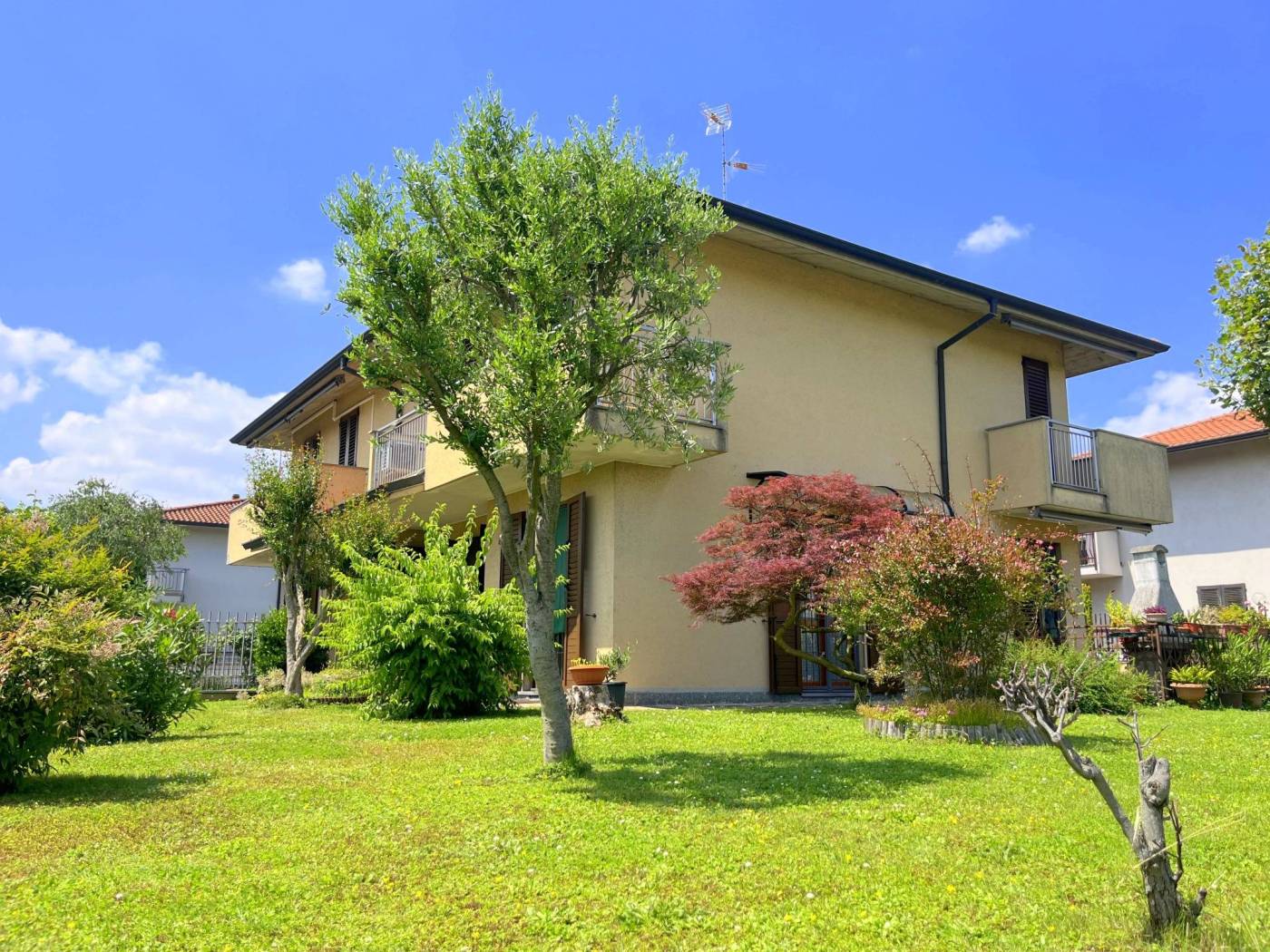 Giardino