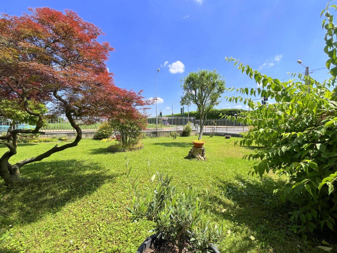 Giardino