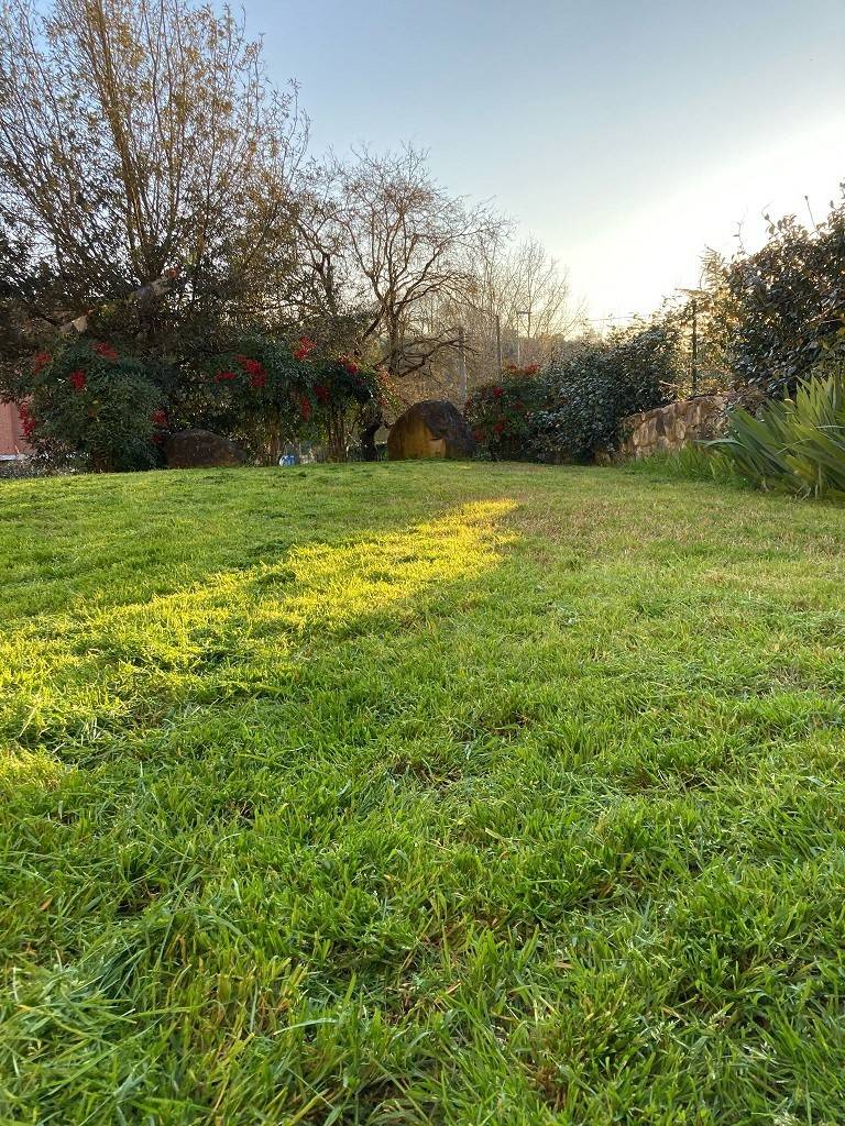 Terreno