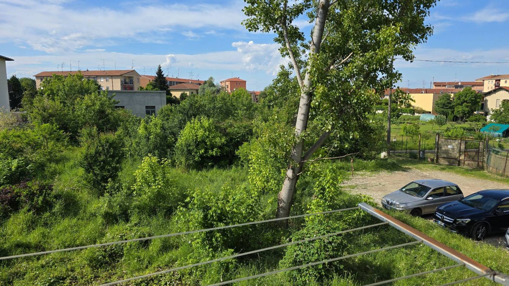 Vista