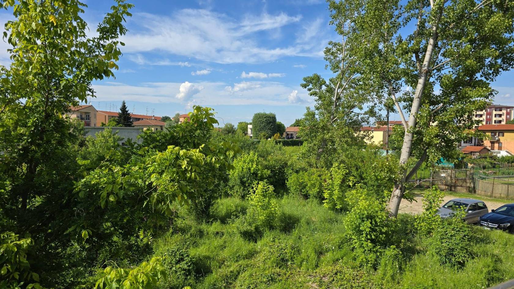 Vista