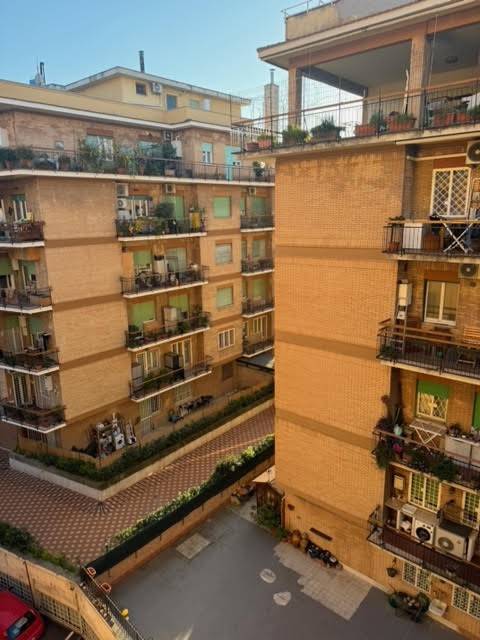 Vista Vista