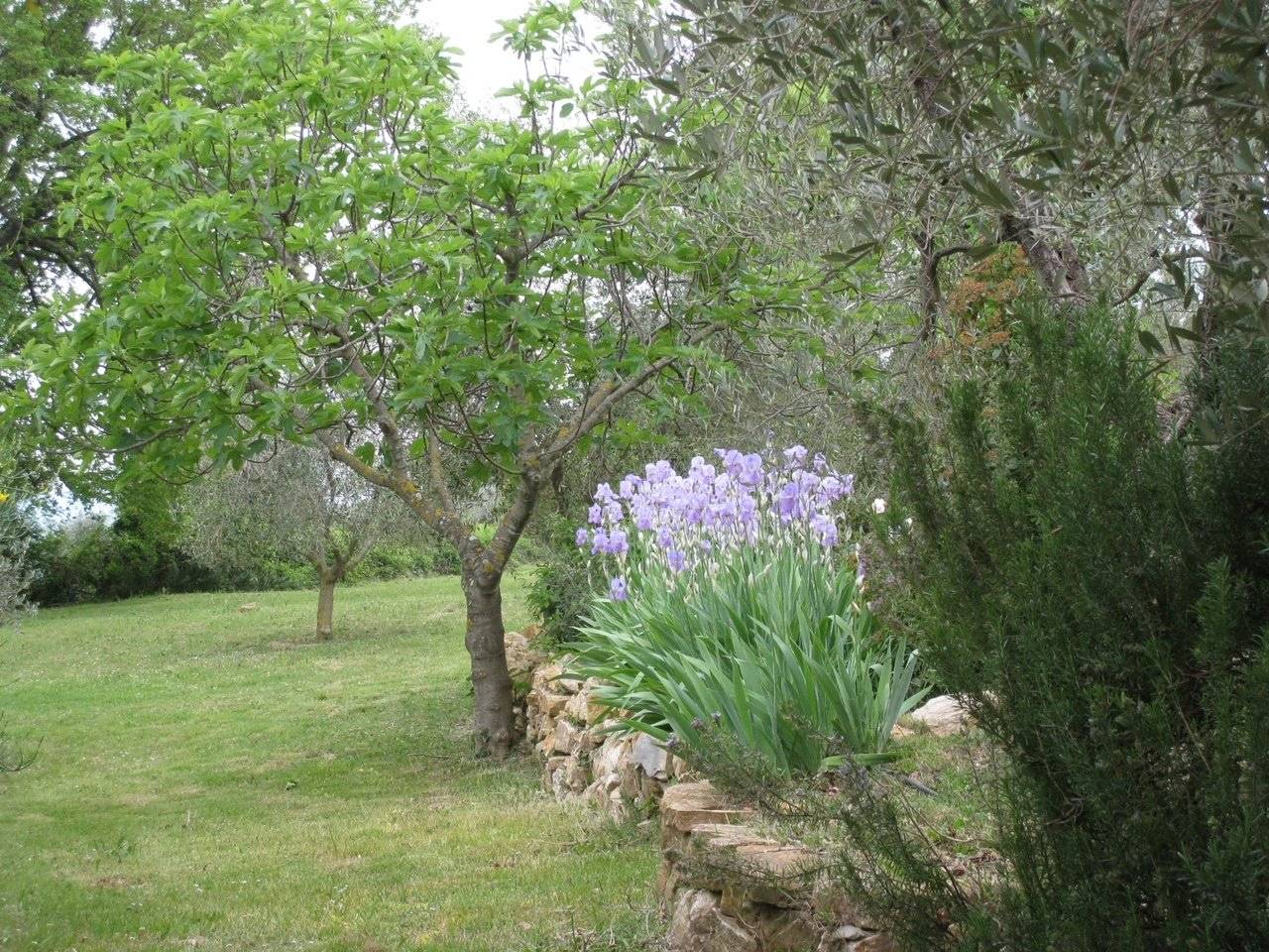 Terreno Terreno