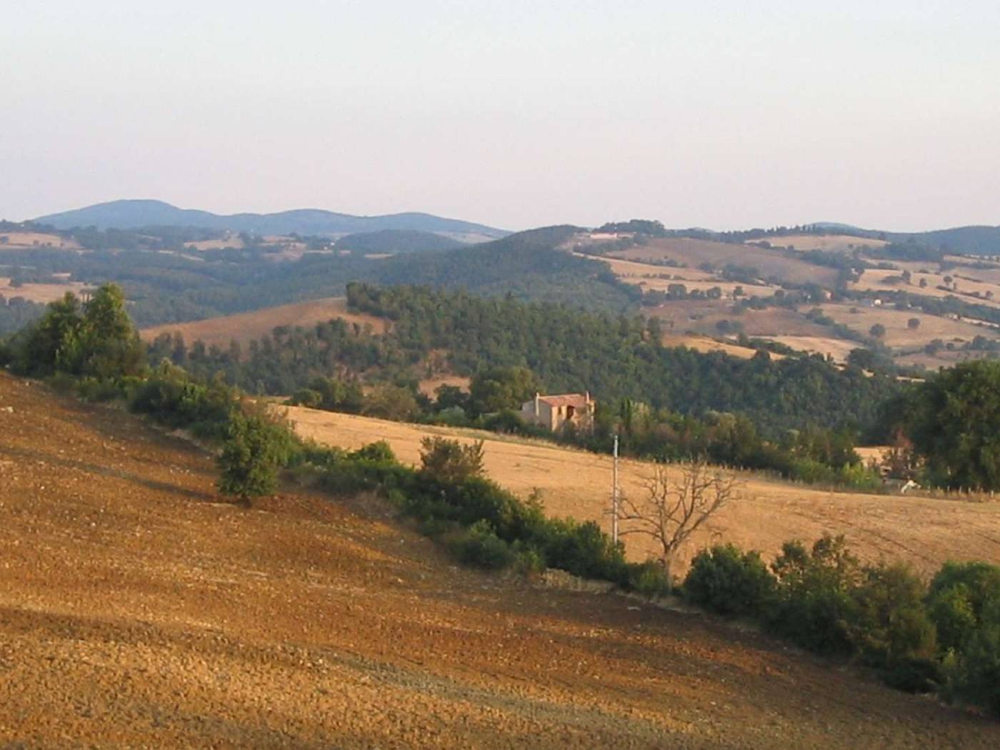 Terreno Terreno