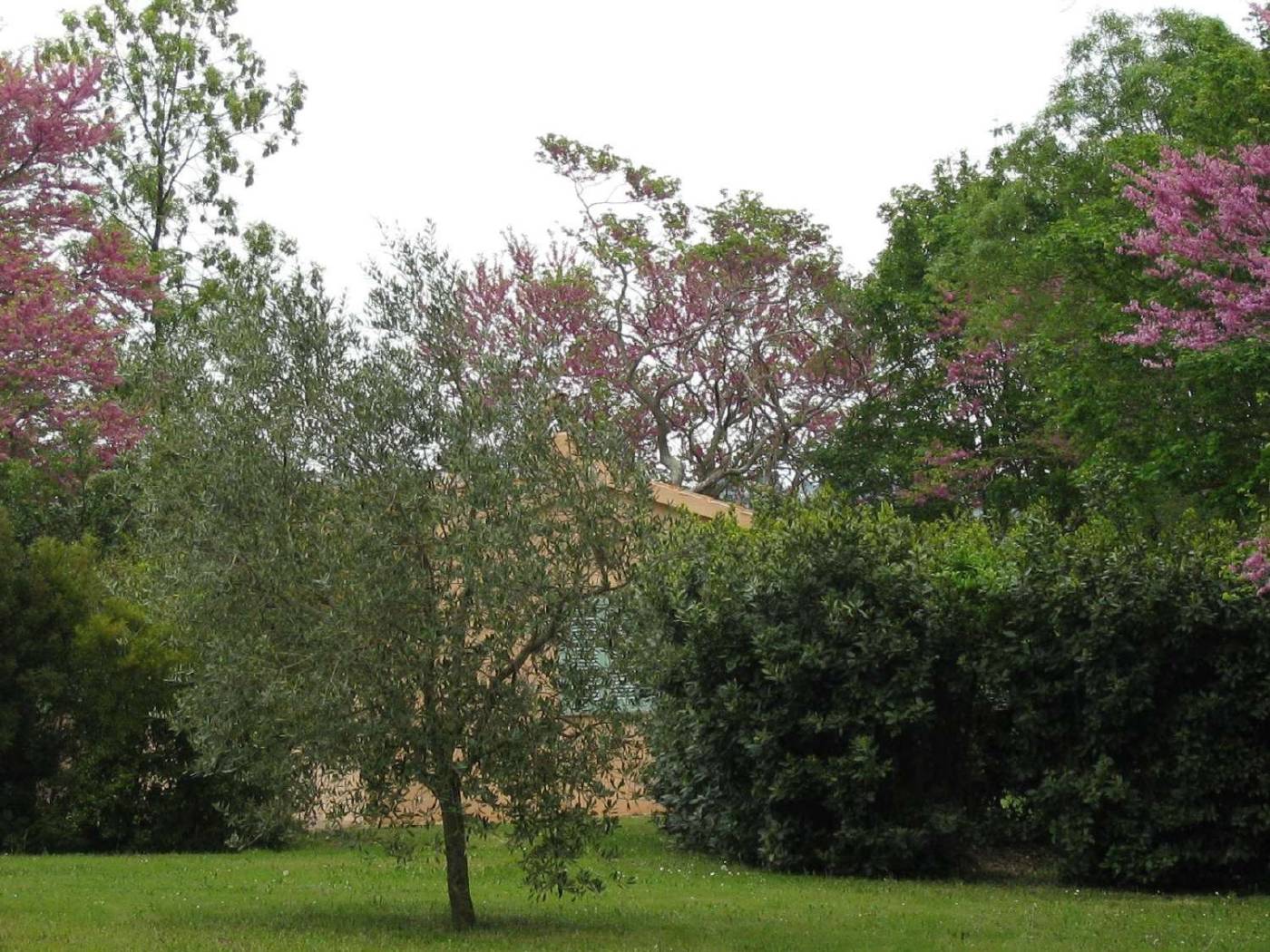 Giardino Giardino