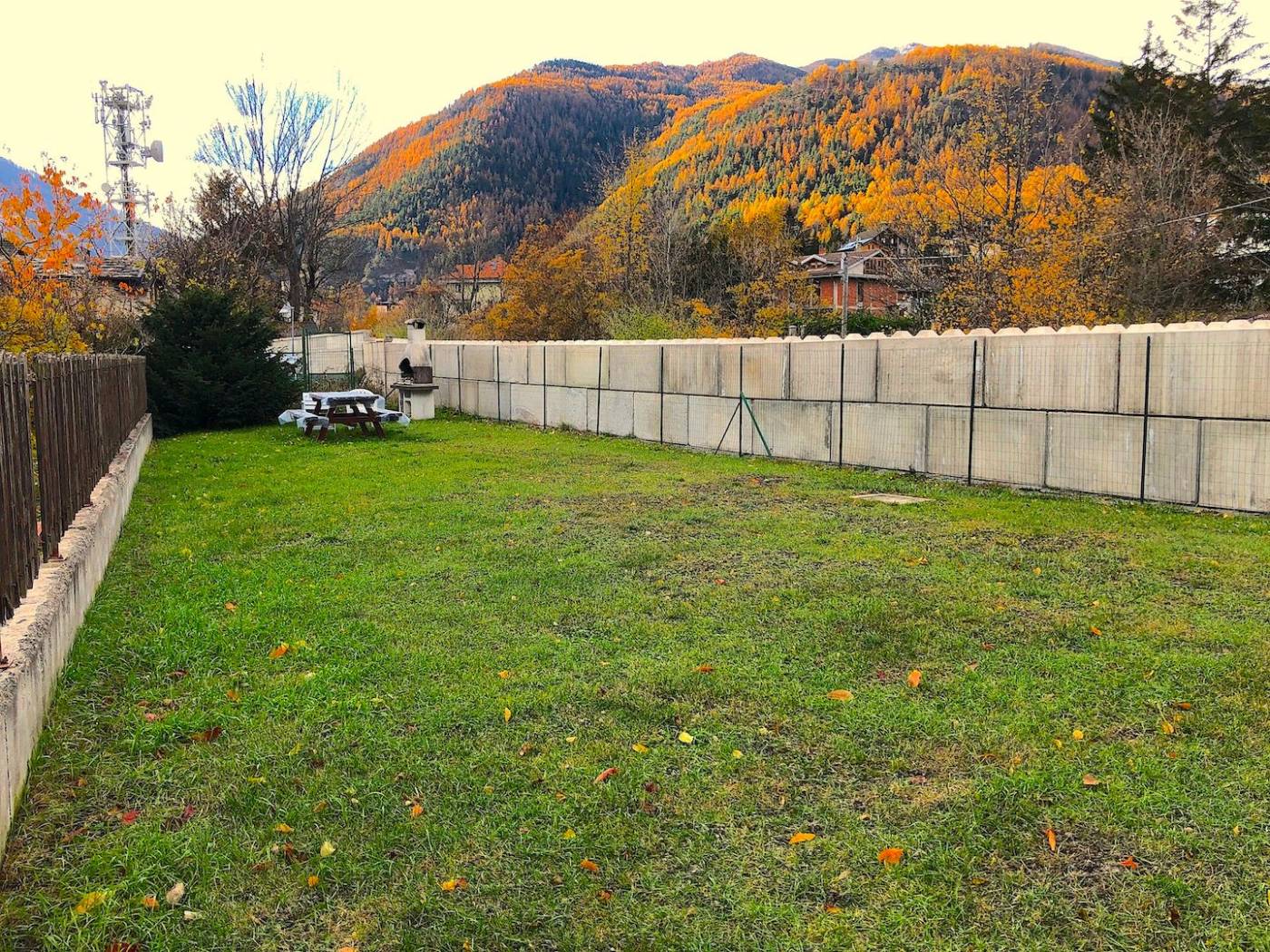 Giardino