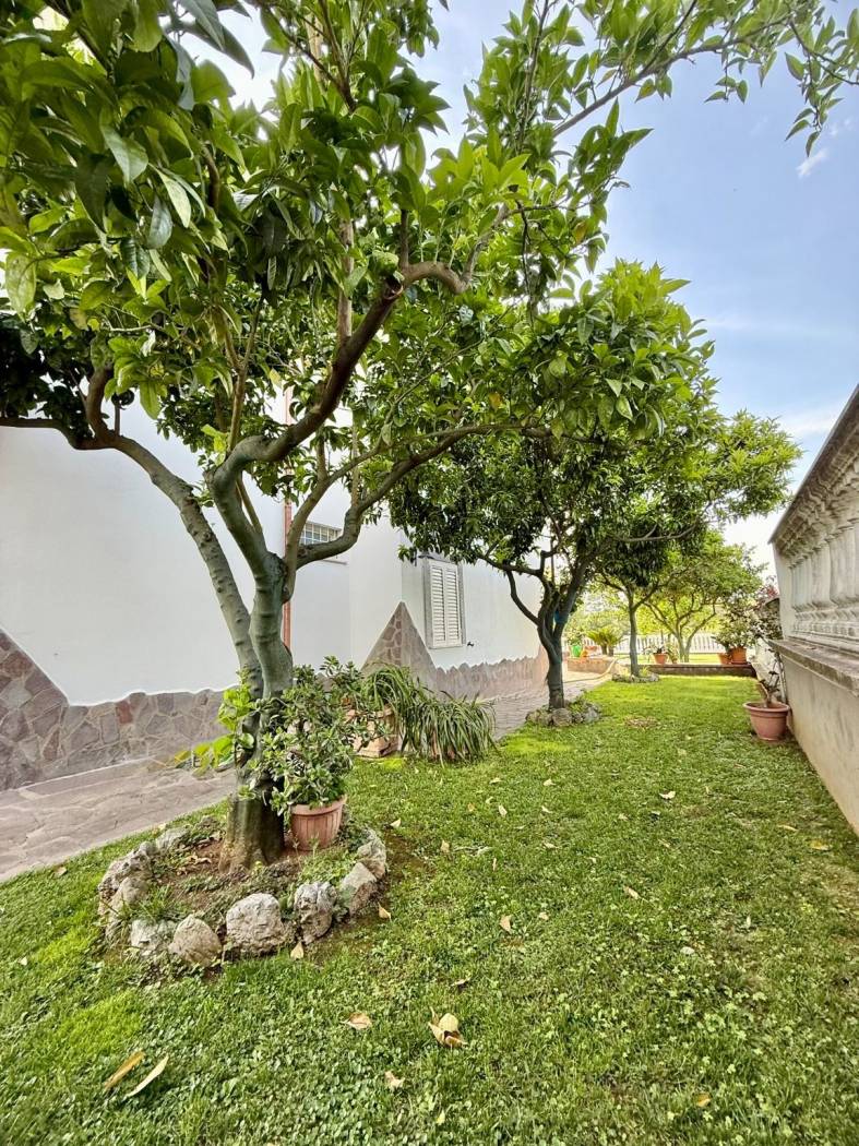 Giardino