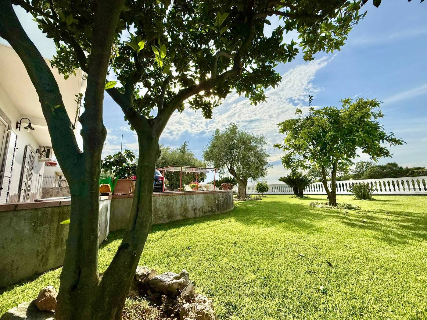 Giardino