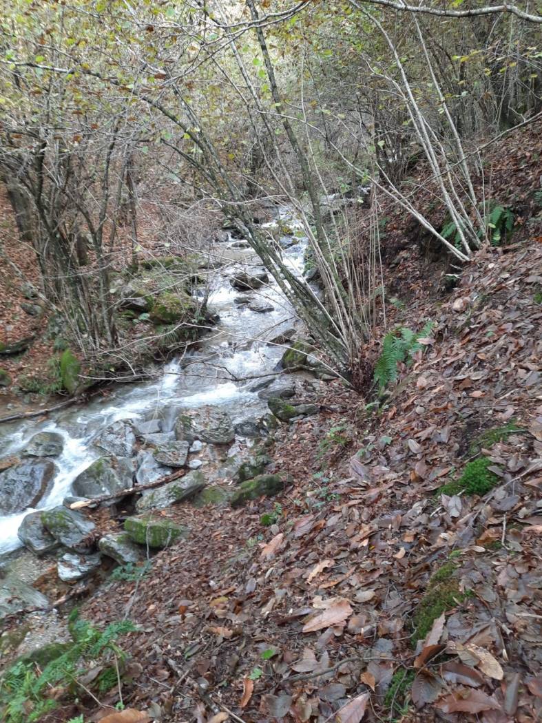 Terreno