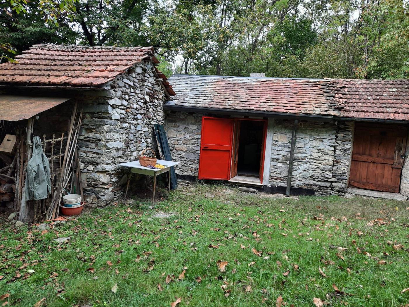 Giardino