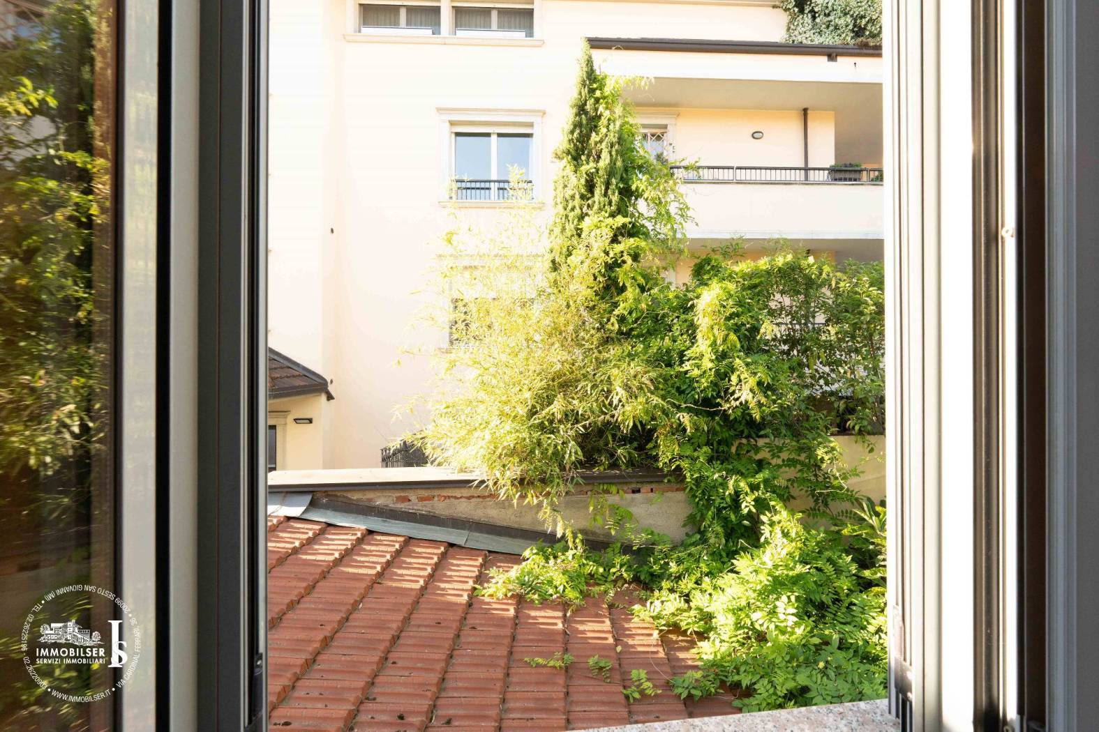 Vista