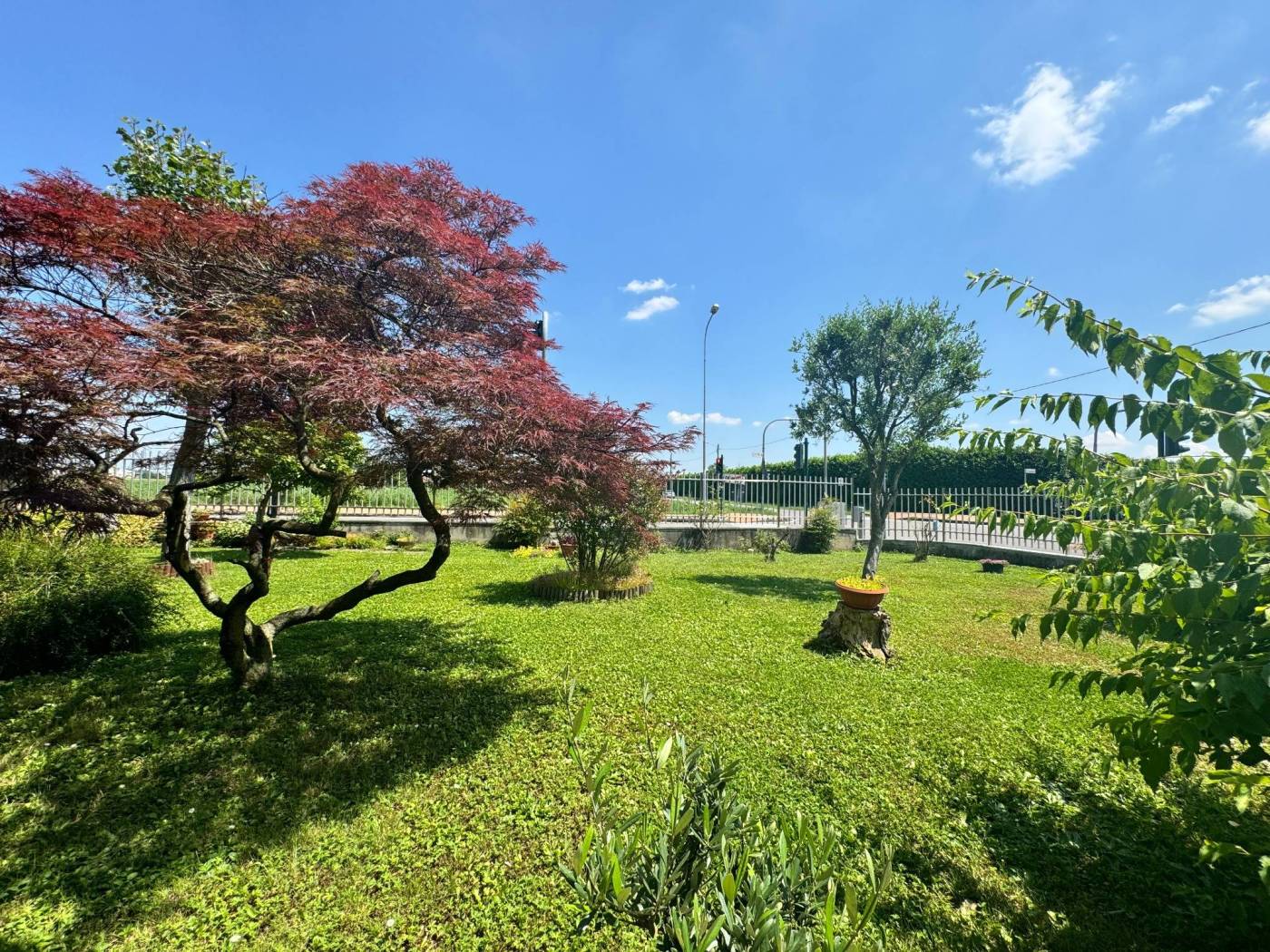 Giardino