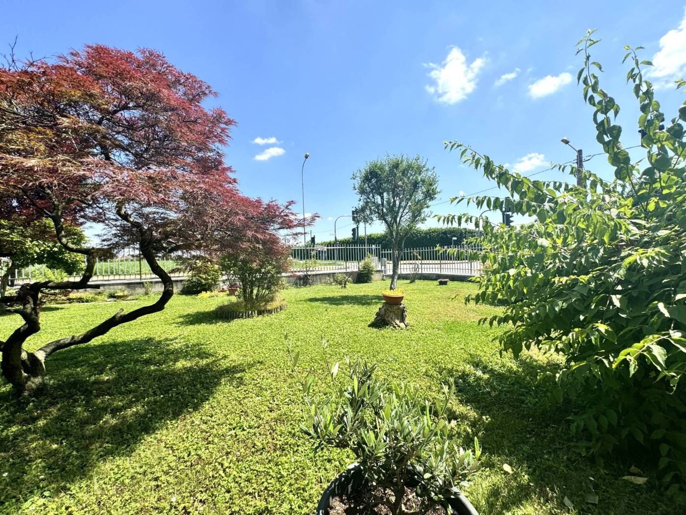 Giardino
