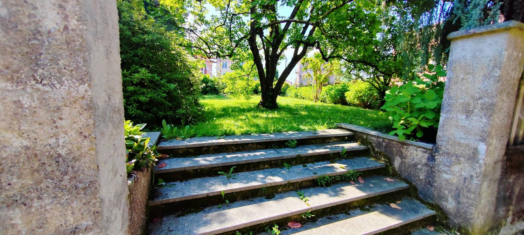 Giardino