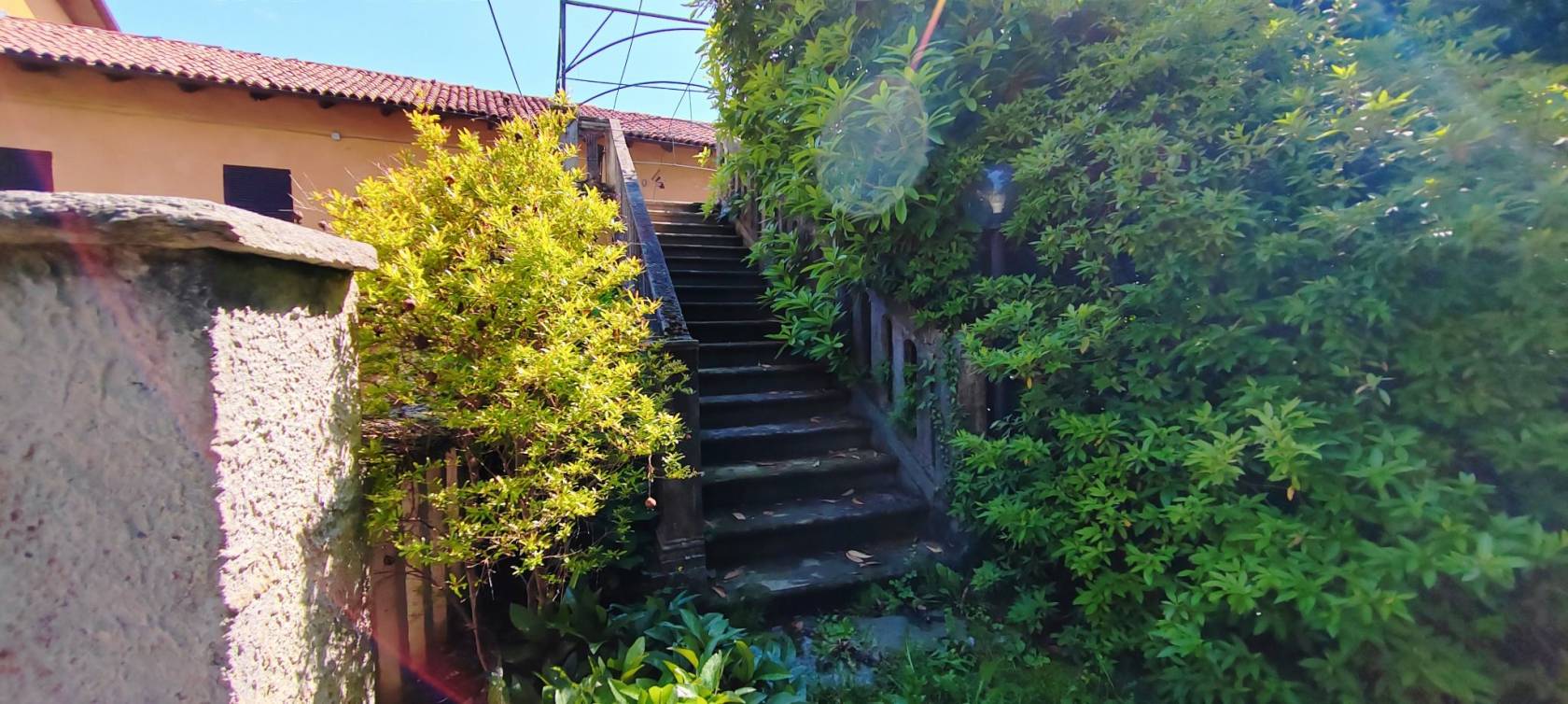 Giardino
