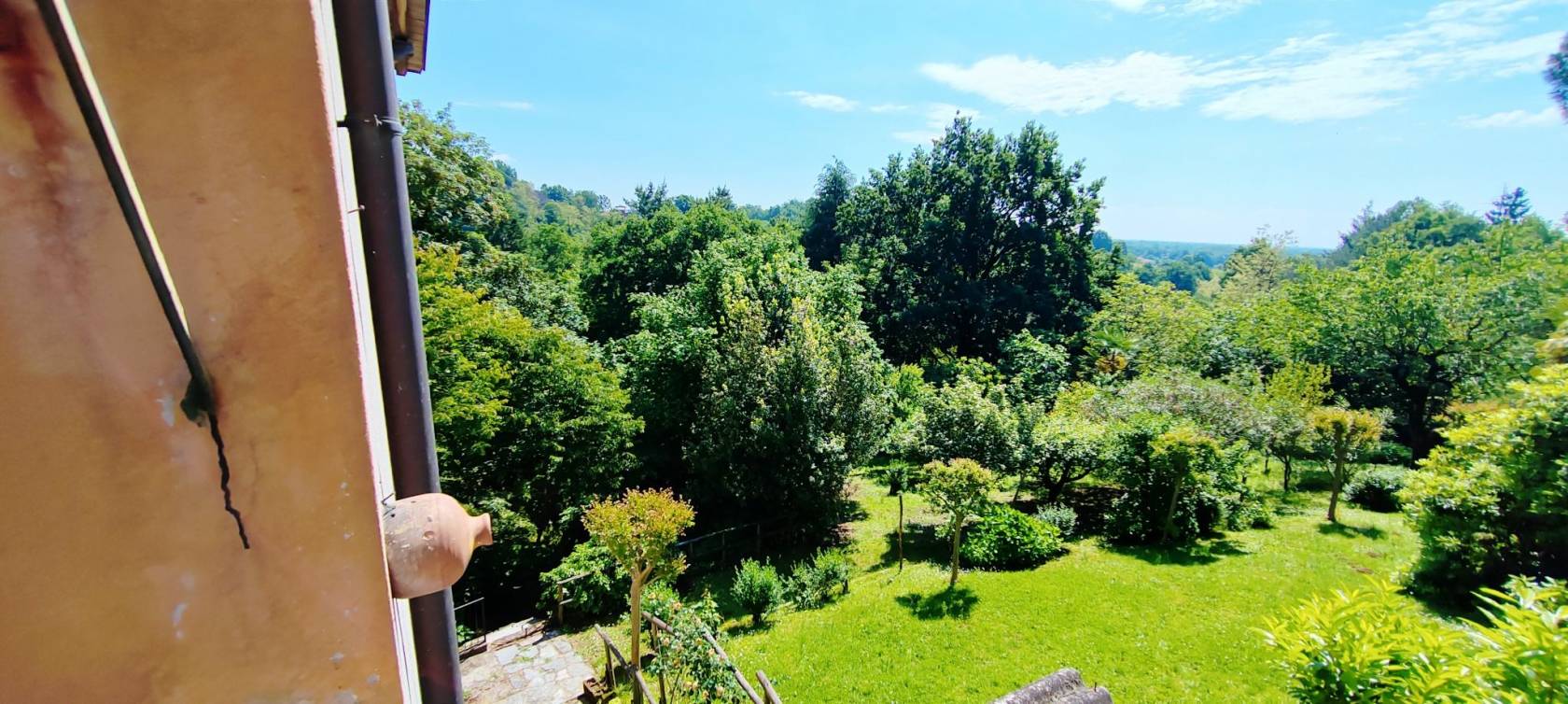 Vista