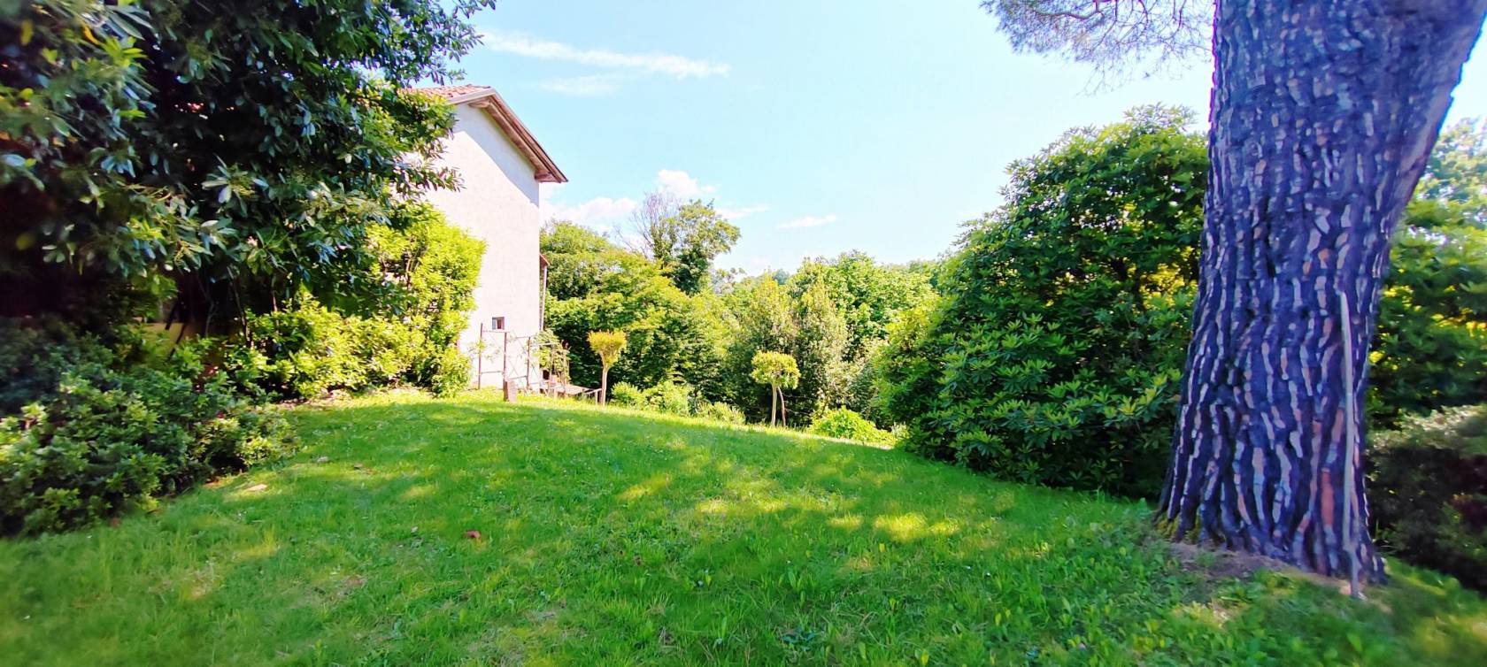 Giardino