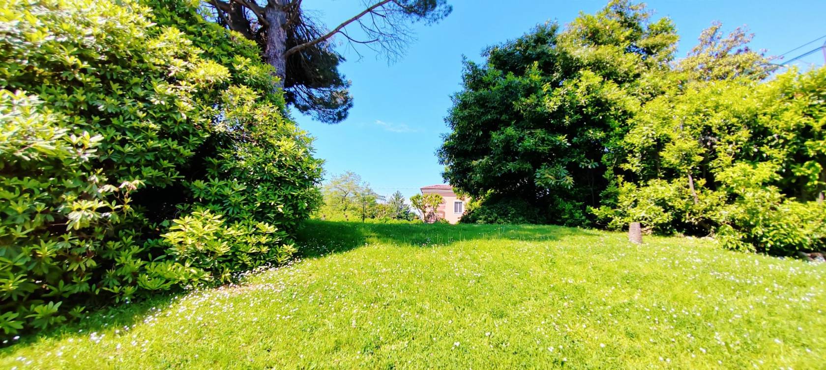 Terreno