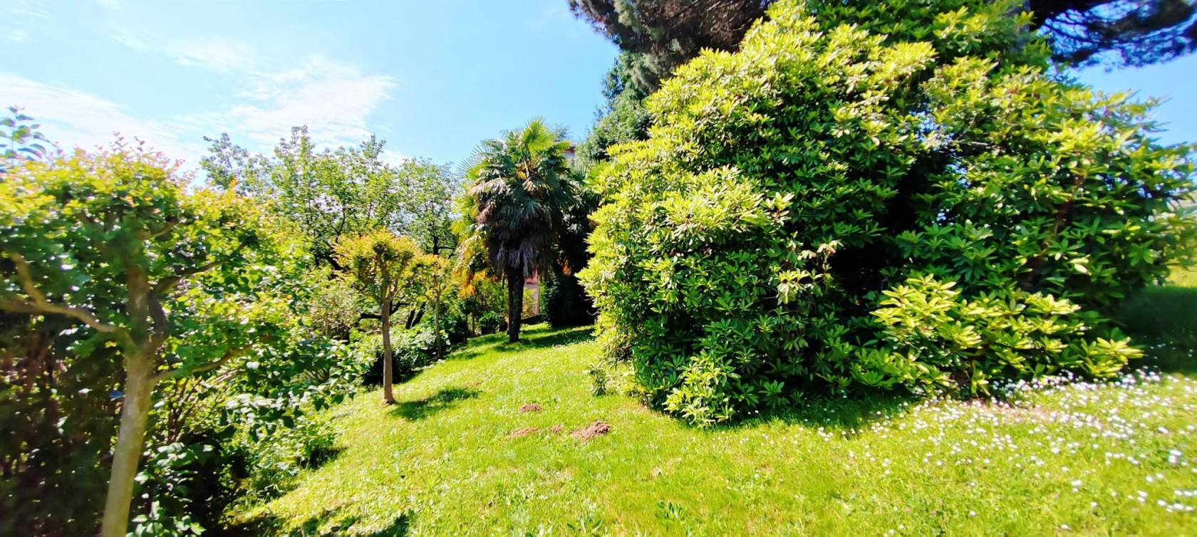 Giardino