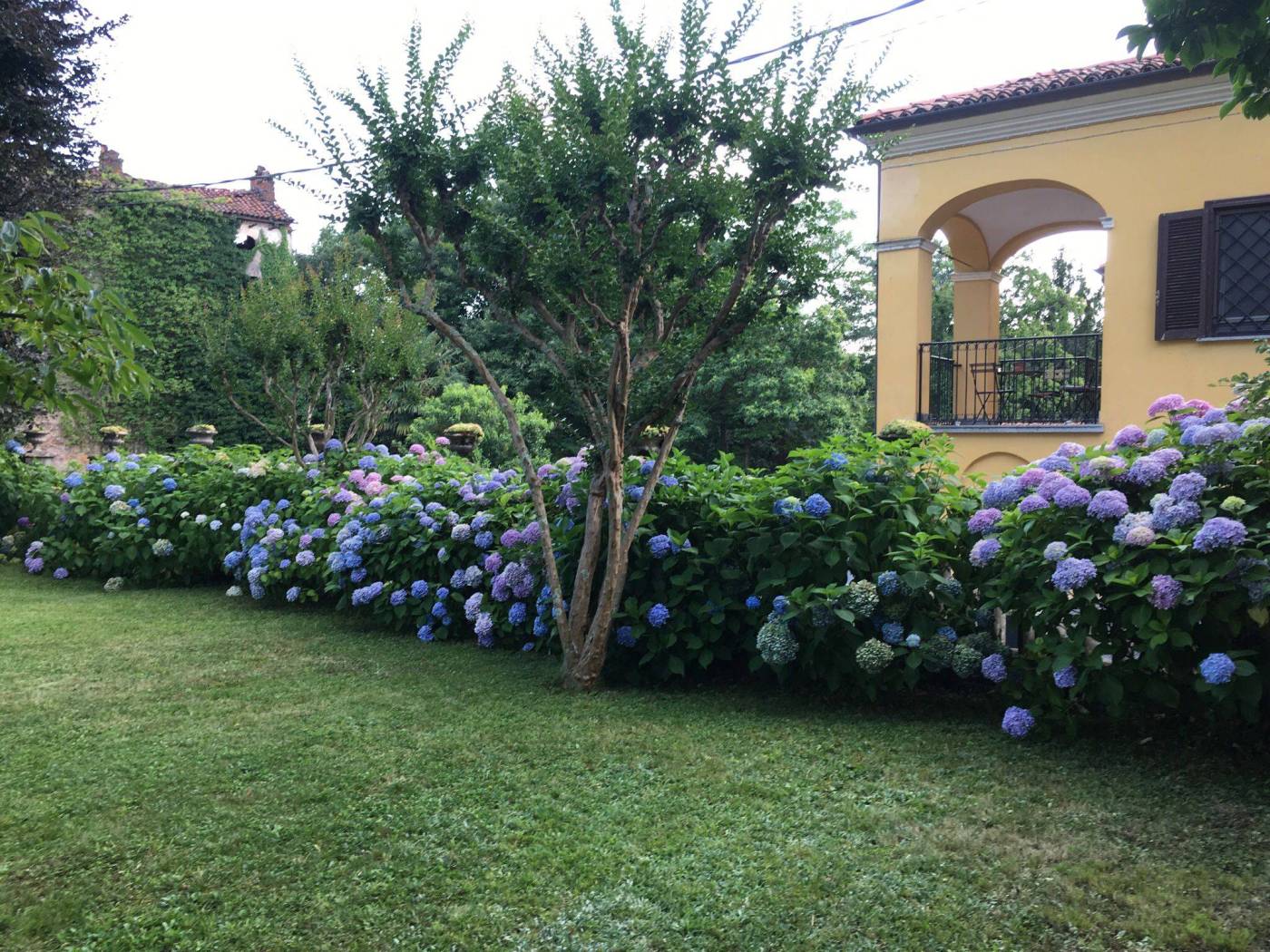 Giardino
