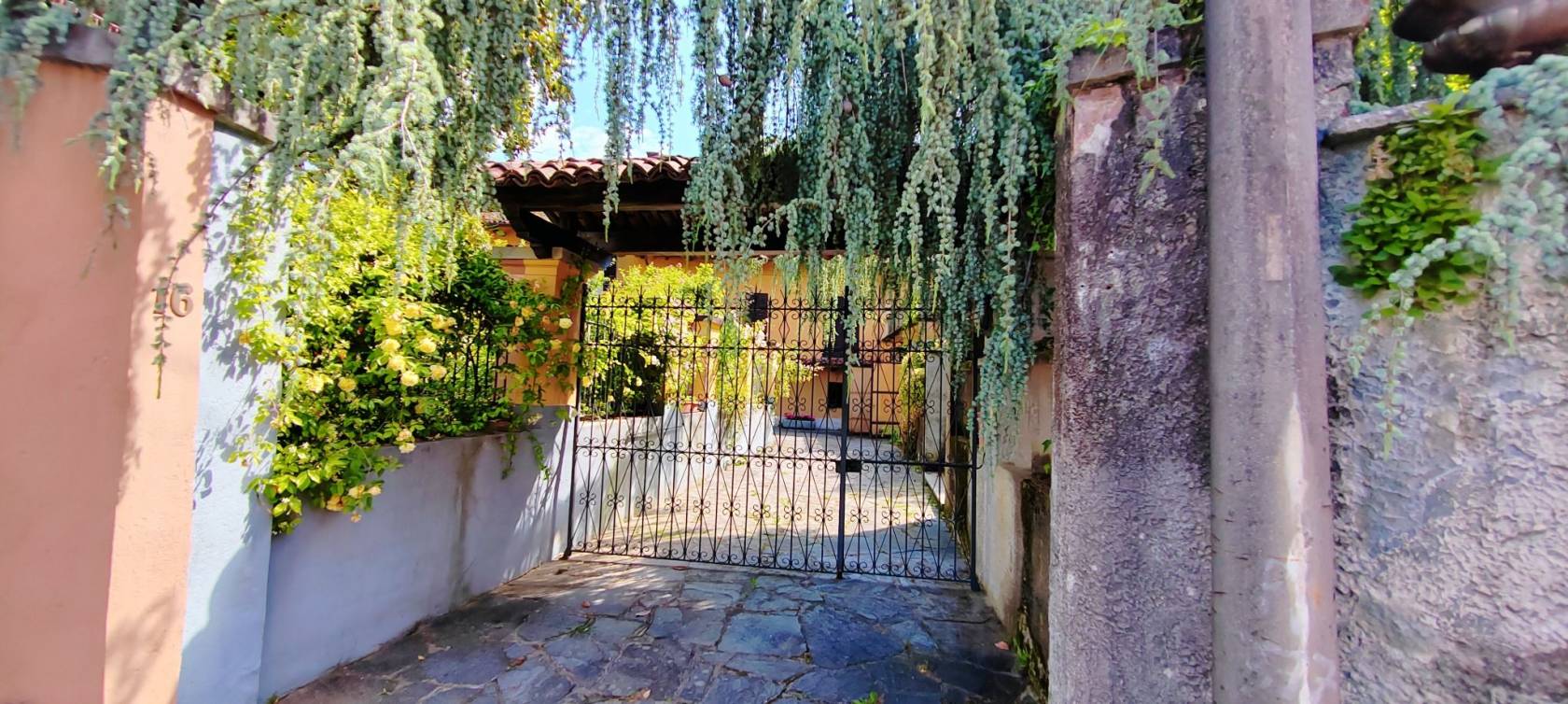 Ingresso